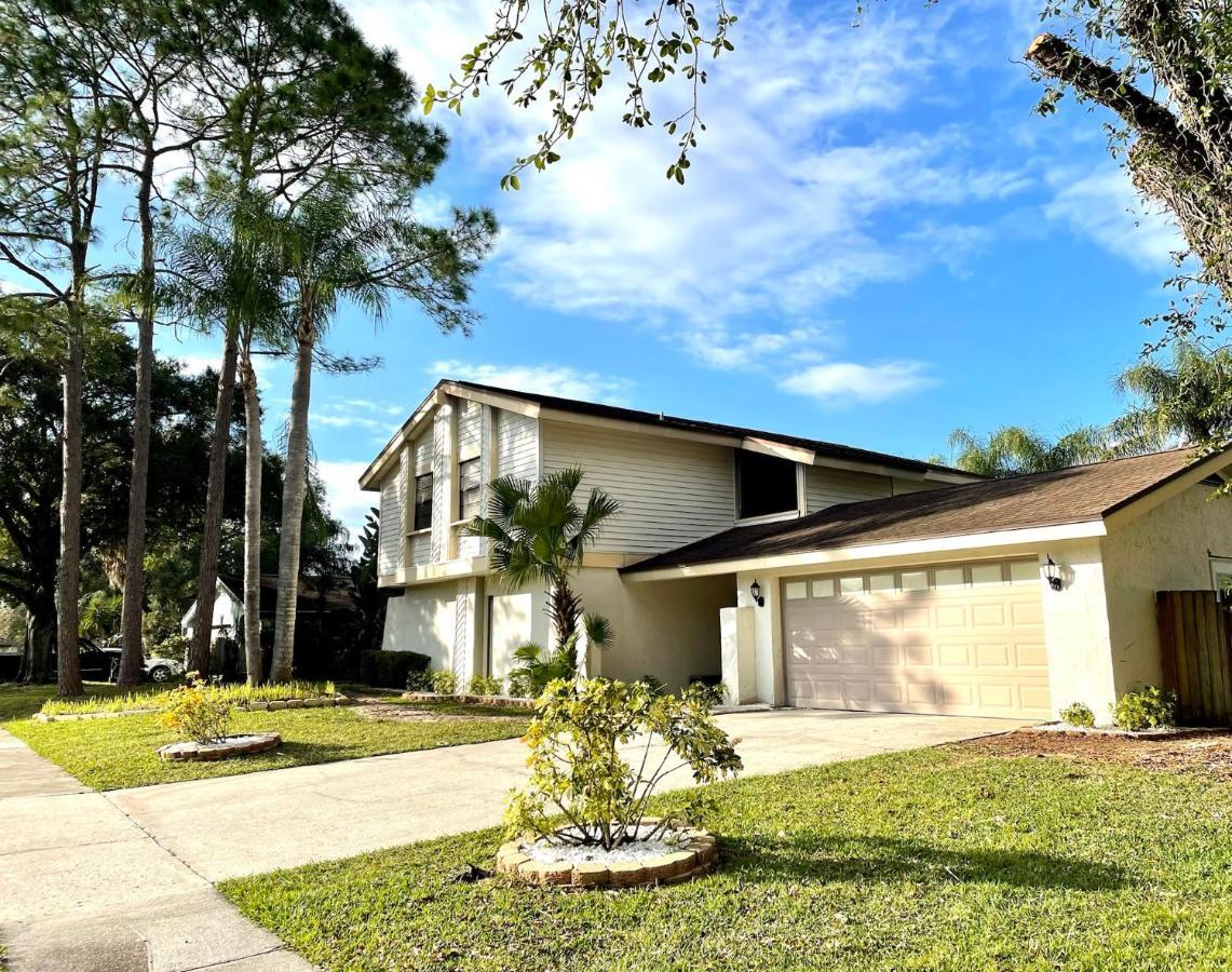 Luxury Pool- Ideal Paradise To Play & Work Holiday home Tampa